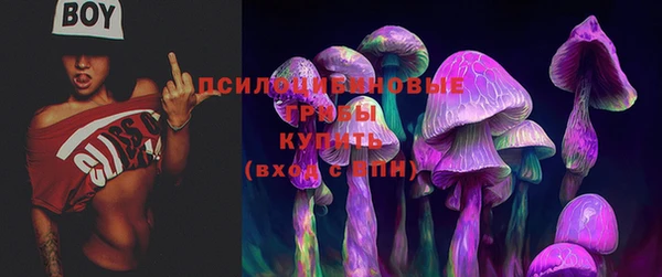 соль курить ск Лагань