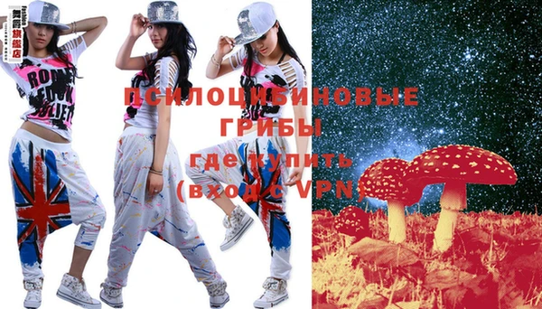 мдпв Лабытнанги