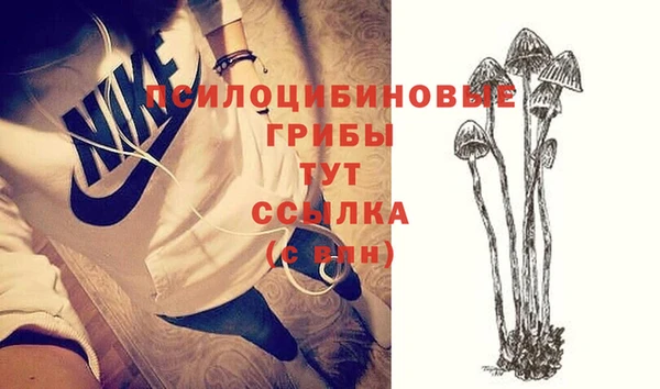 герыч Ладушкин