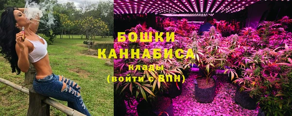 мдпв Лабытнанги