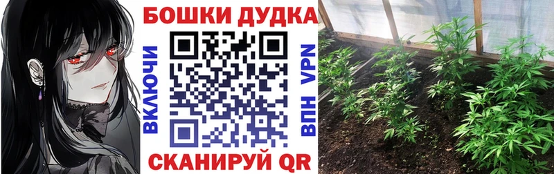 Конопля семена Купить где Давлеканово